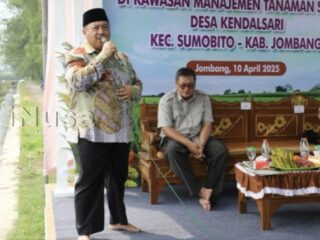 Rekor Baru Pertanian Jombang: LTT Padi Tembus 86 Ribu Hektare, Surplus Beras Melonjak Dua Kali Lipat