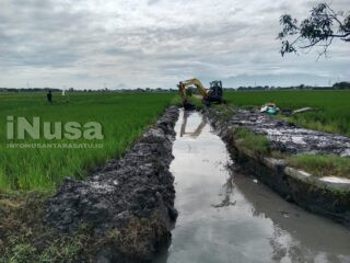 Optimalkan Fungsi Irigasi, Dinas PUPR Jombang Normalisasi Saluran Pembuang Cangkring