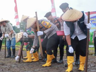 Penanaman Jagung Serentak Kuartal I 2026 di Jombang Dukung Program Swasembada Jagung Nasional