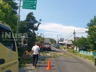 Cegah Petaka di Musim Hujan, Begini Strategi Dinas PUPR Jombang Amankan Ruas Jalan Utama